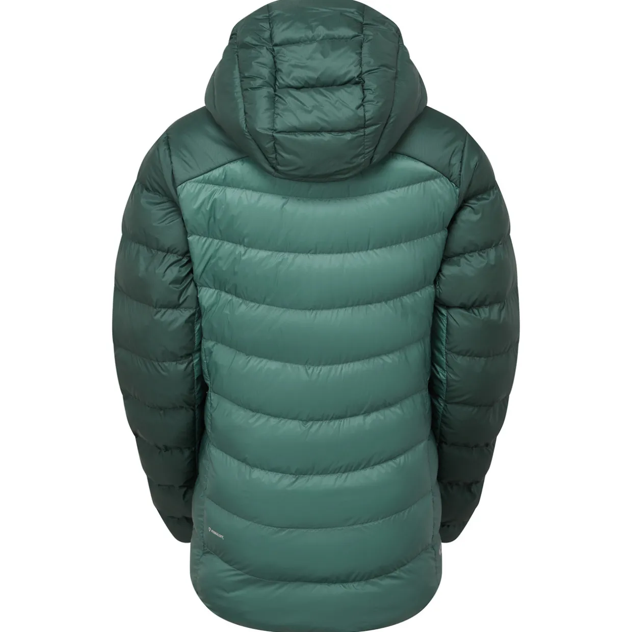 Womens Cirrus Ultra Insulated Hoody