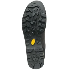 Zodiac GTX